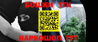 МДПВ Партизанск