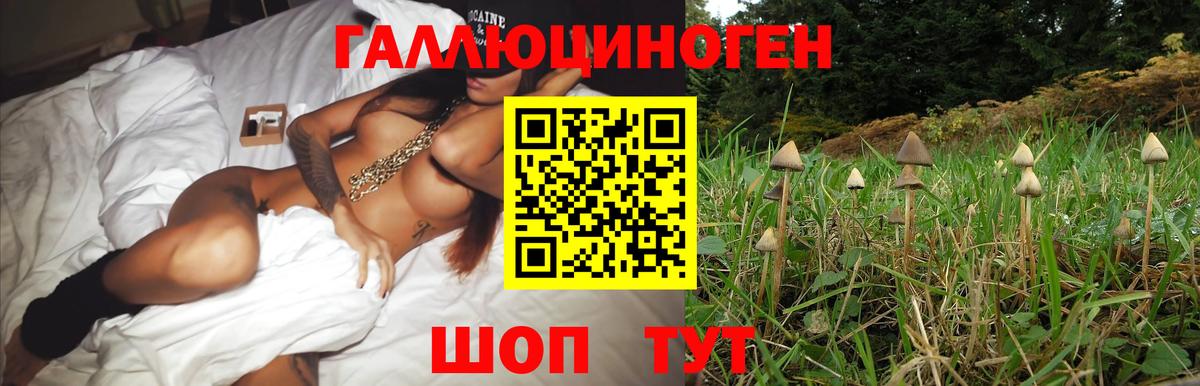 Псилоцибиновые грибы мухоморы Обнинск